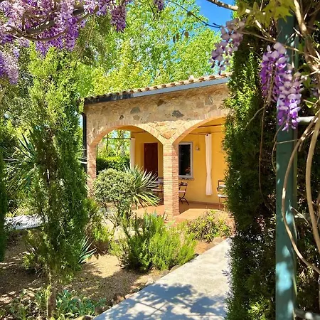 Aatu - Adults Only 4*