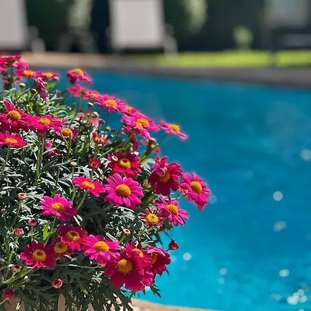 Hotel Aatu - Adults Only