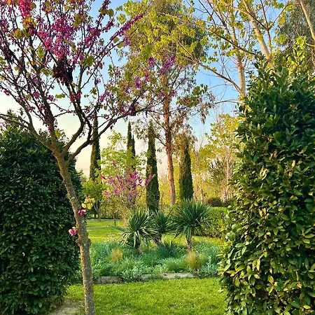 Hotel Aatu - Adults Only Peratallada