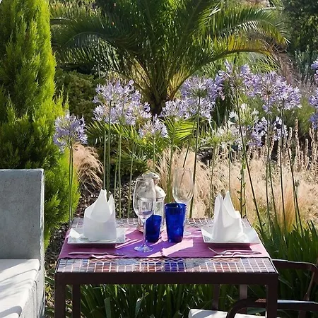 Aatu - Adults Only 4*