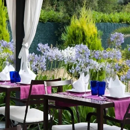 Hotel Aatu - Adults Only