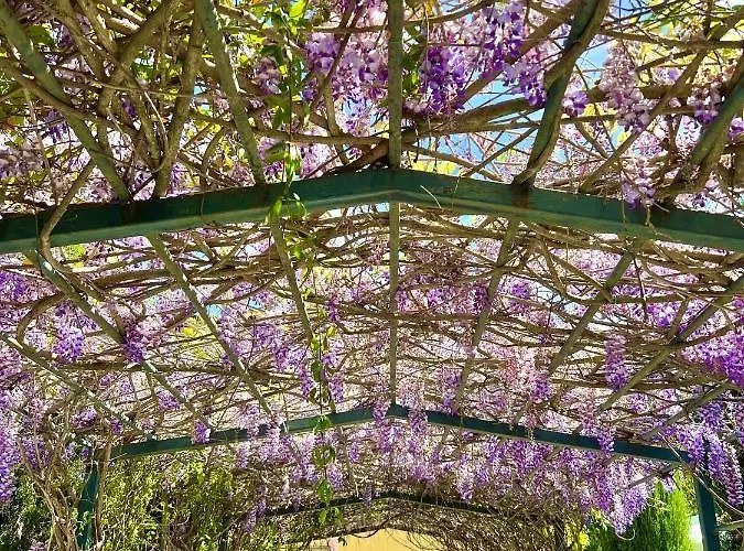 Aatu - Adults Only Hotel Peratallada