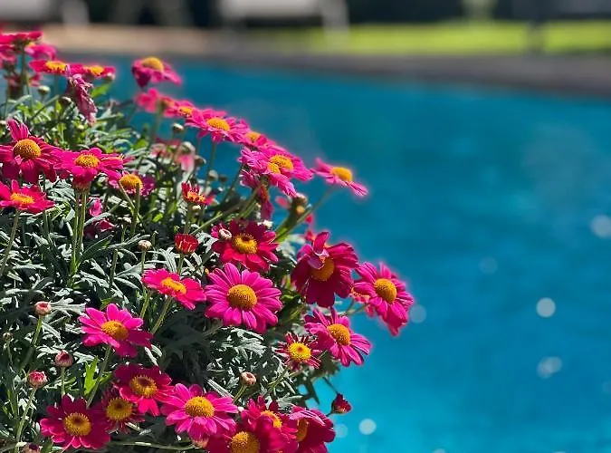 Hotel Aatu - Adults Only