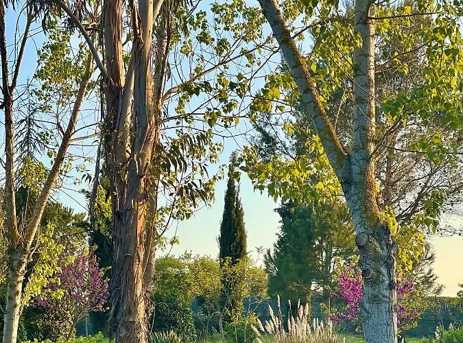 Hotel Aatu - Adults Only Peratallada