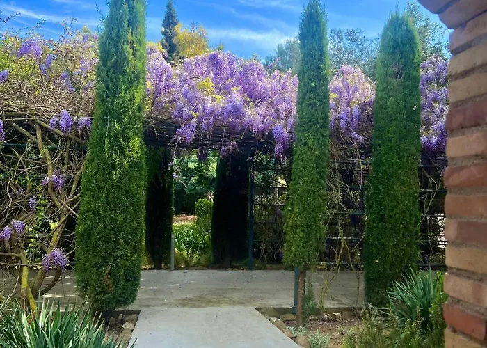 Aatu - Adults Only Peratallada